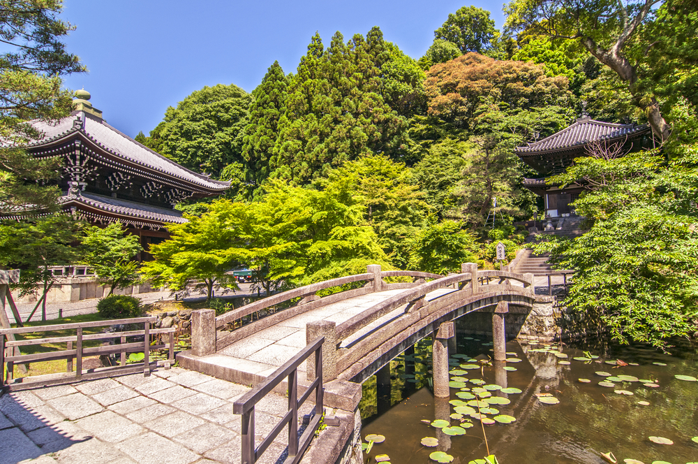 赴き深い日本庭園「友禅苑」
