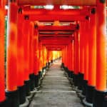 Long Red Tunnel 「Fushimi Inari Taisha Shrine」