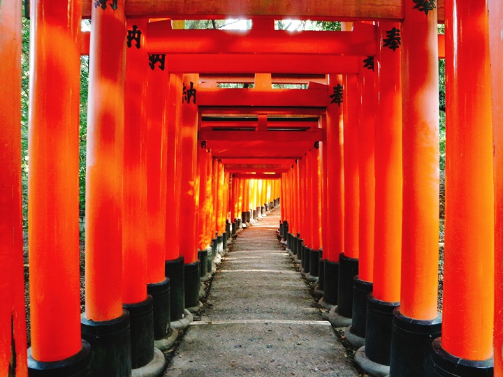 Long Red Tunnel 「Fushimi Inari Taisha Shrine」