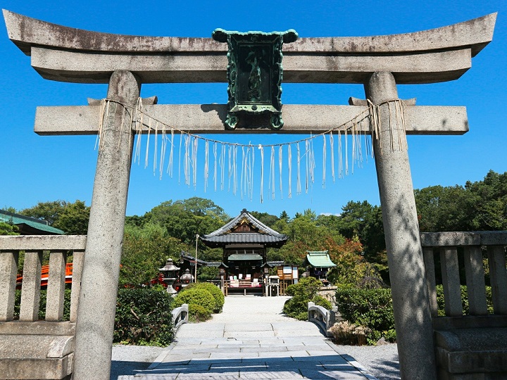 正面の鳥居をくぐる