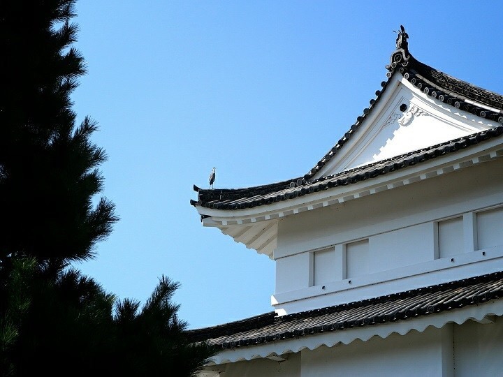 The historical Motorikyu Nijo Castle