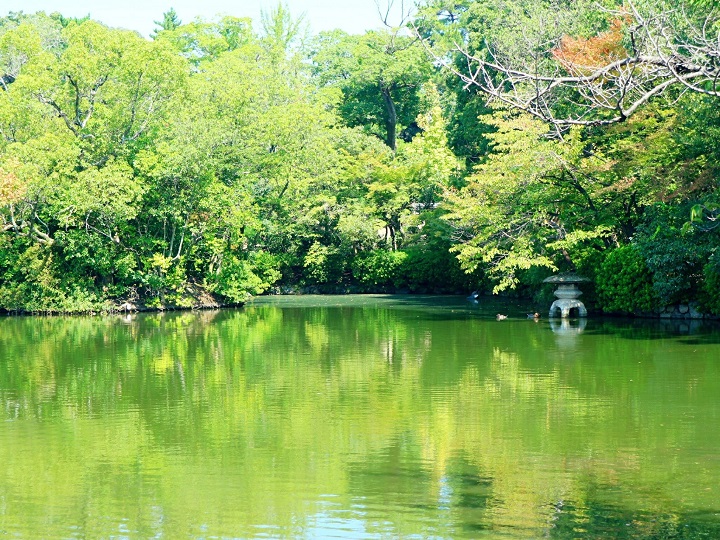 The pond which continues to reflect time