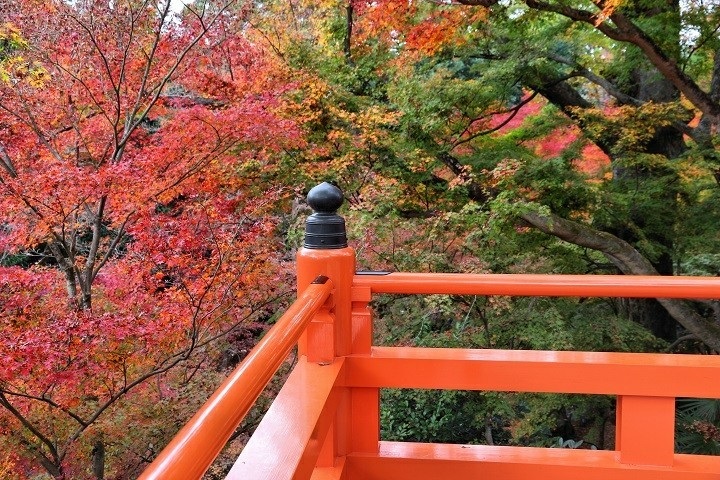 高台から眺める景色