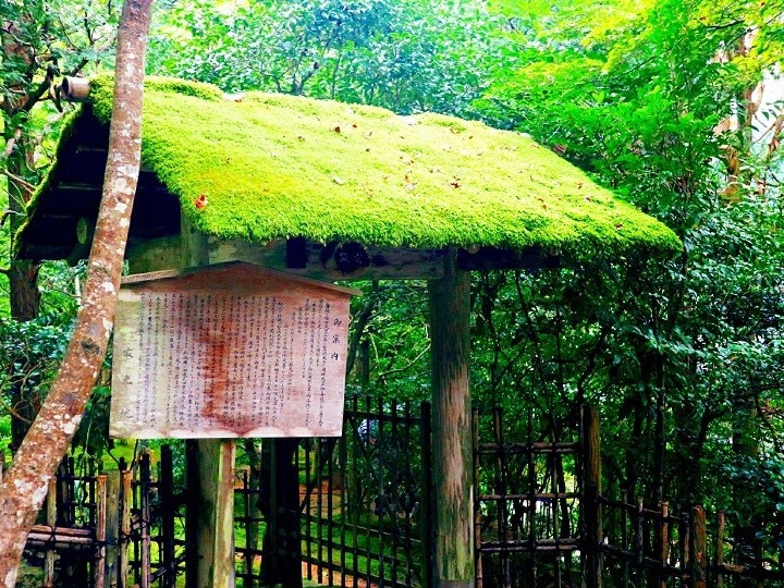 茶室へ導く苔の門