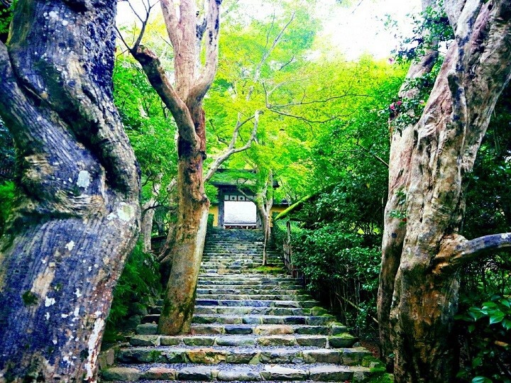 Jakko-in, a beautiful temple with a rock road continuing to its gate