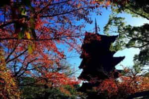 京都駅から歩いていける世界遺産「東寺・教王護国寺」