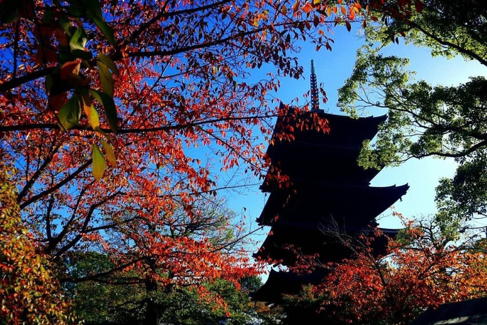 Toji; A World Heritage Site within a walking distance from Kyoto Station