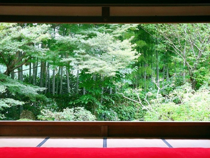 迫力の額縁庭園「宝泉院」