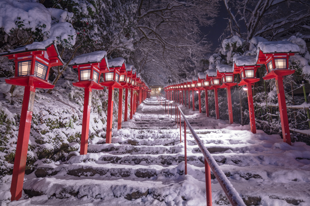 The beautiful snow in the winter