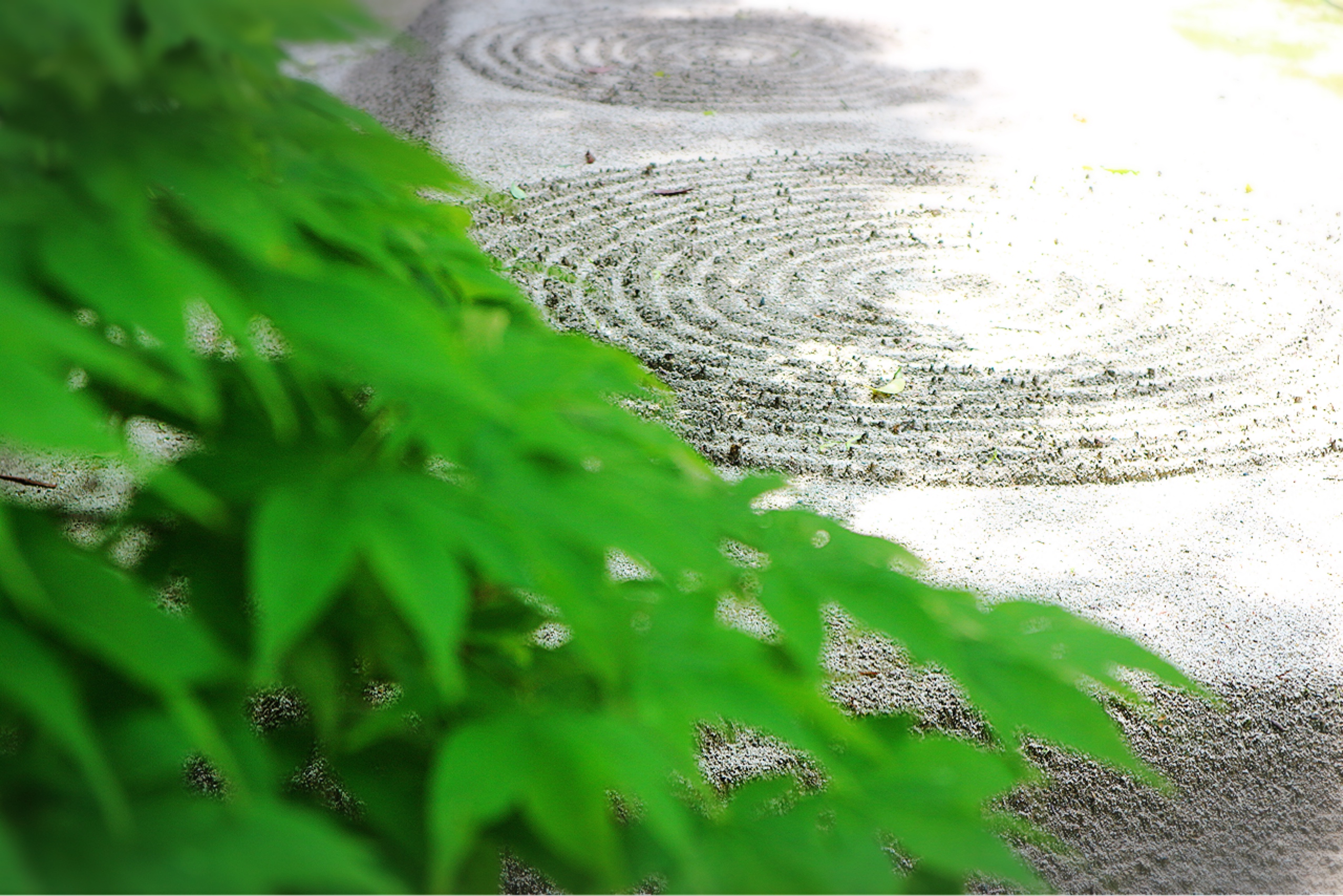 Japanese beauty with the breeze of season