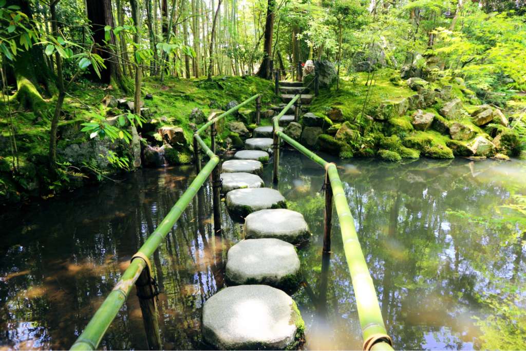 生命力にあふれた、若々しく透き通るような緑と水の庭を楽しむ「天授庵」