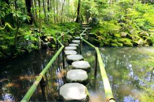 Tenju-an: a garden full of life and water