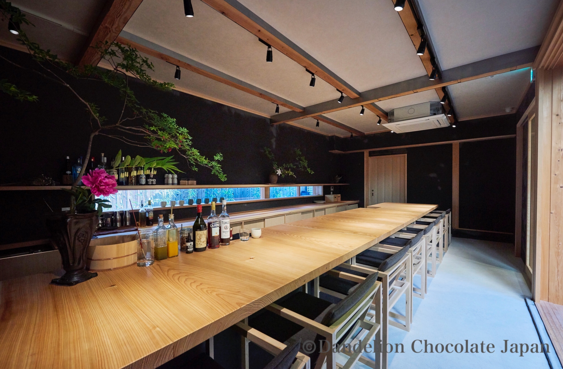 New attractions of Cacao