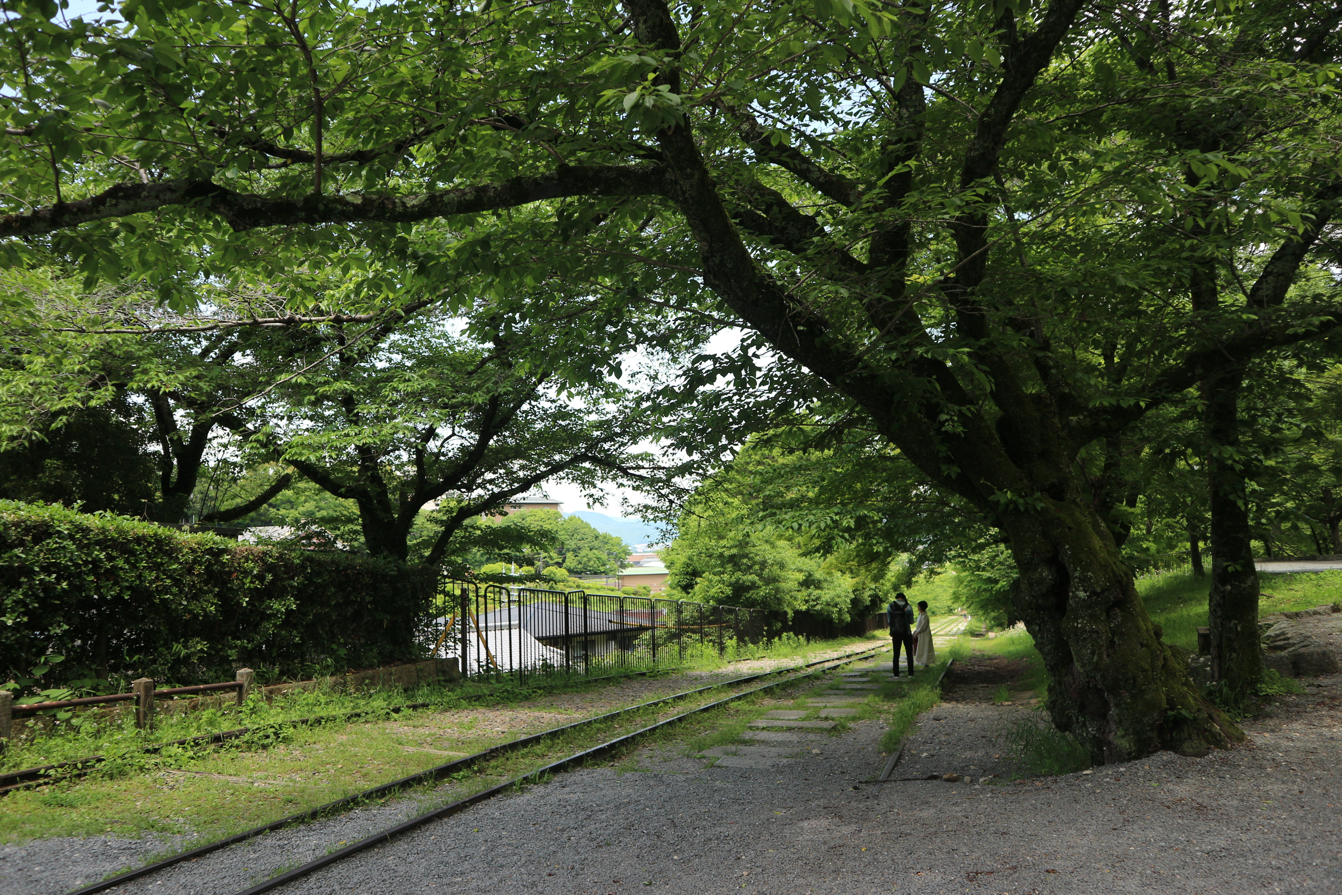 The path along the disused railway tracks