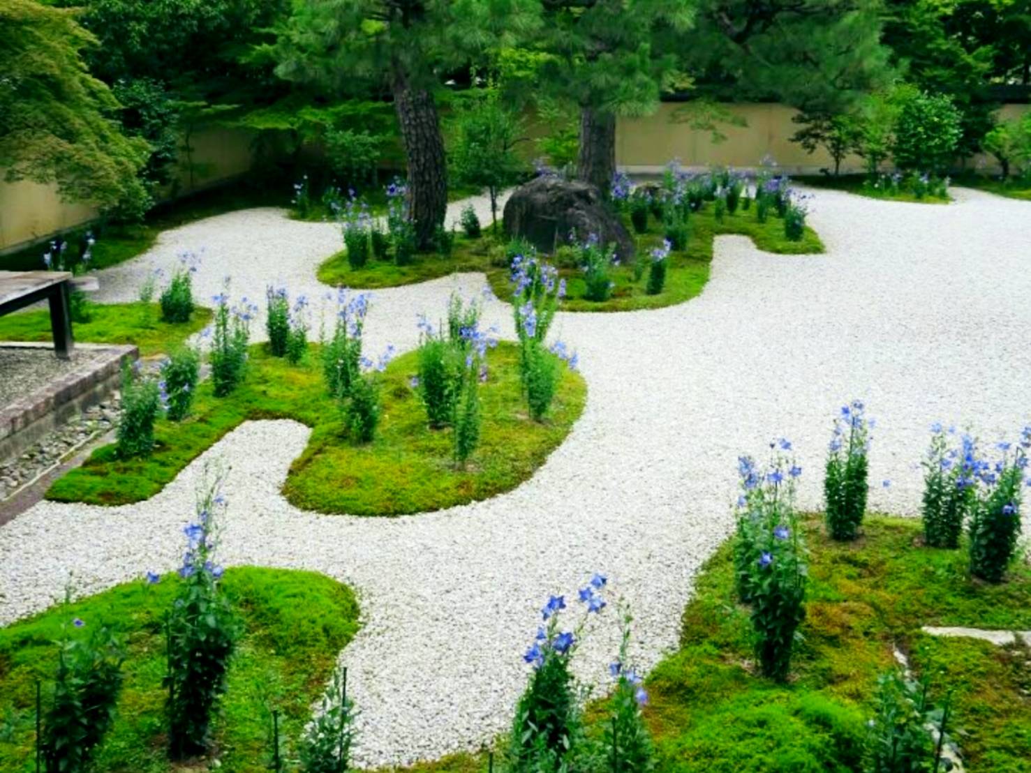 Garden of White sand and Bellflowers