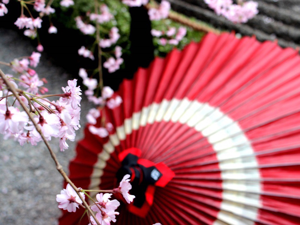 Old beauty associates landscape in the original state in Japan