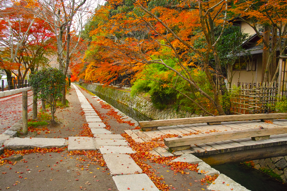 Colorful seasons