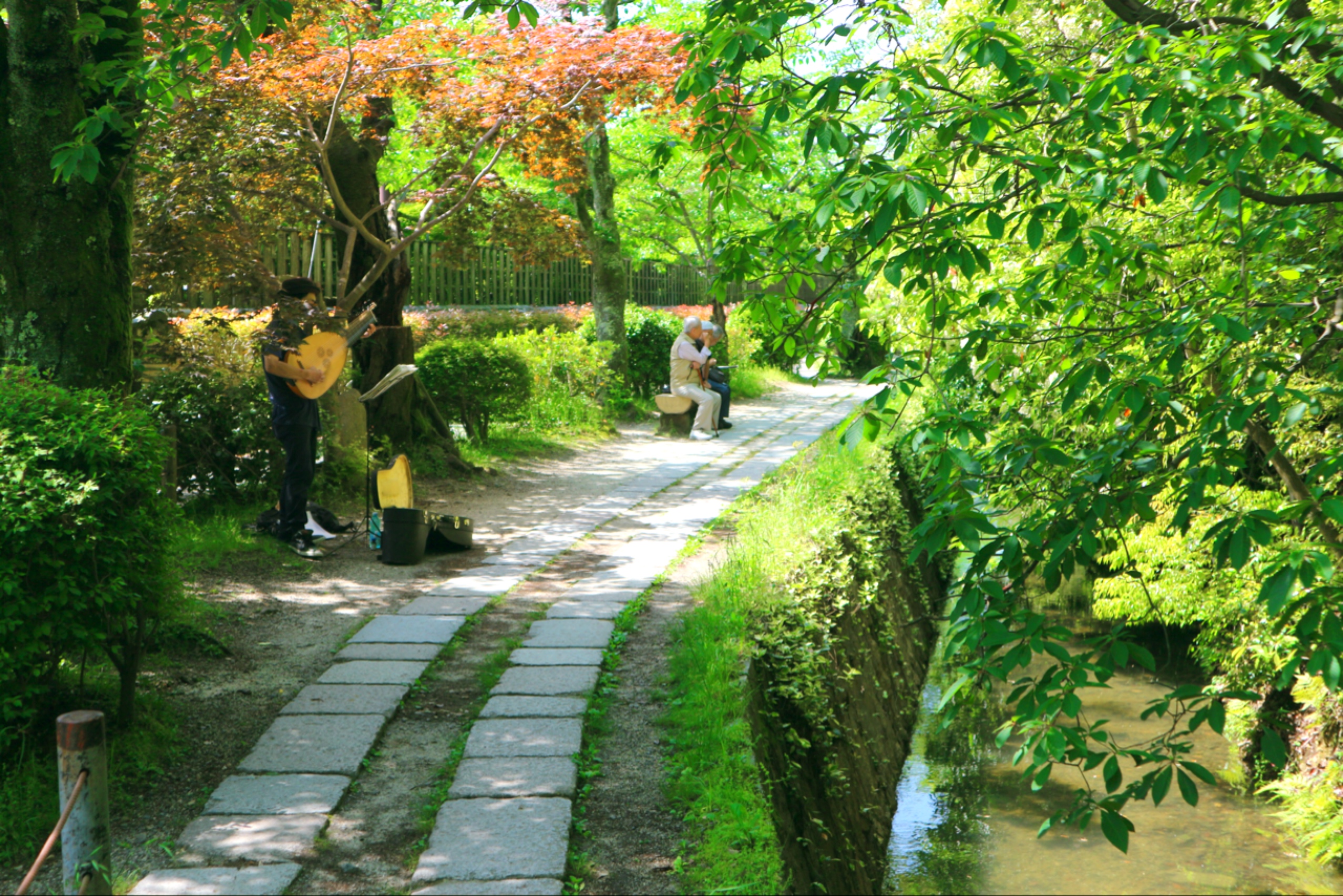 A calm and peaceful walking path