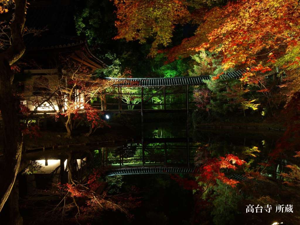 Beautiful temple garden reflects each seasonal colors -Jubusan Kodaiji
