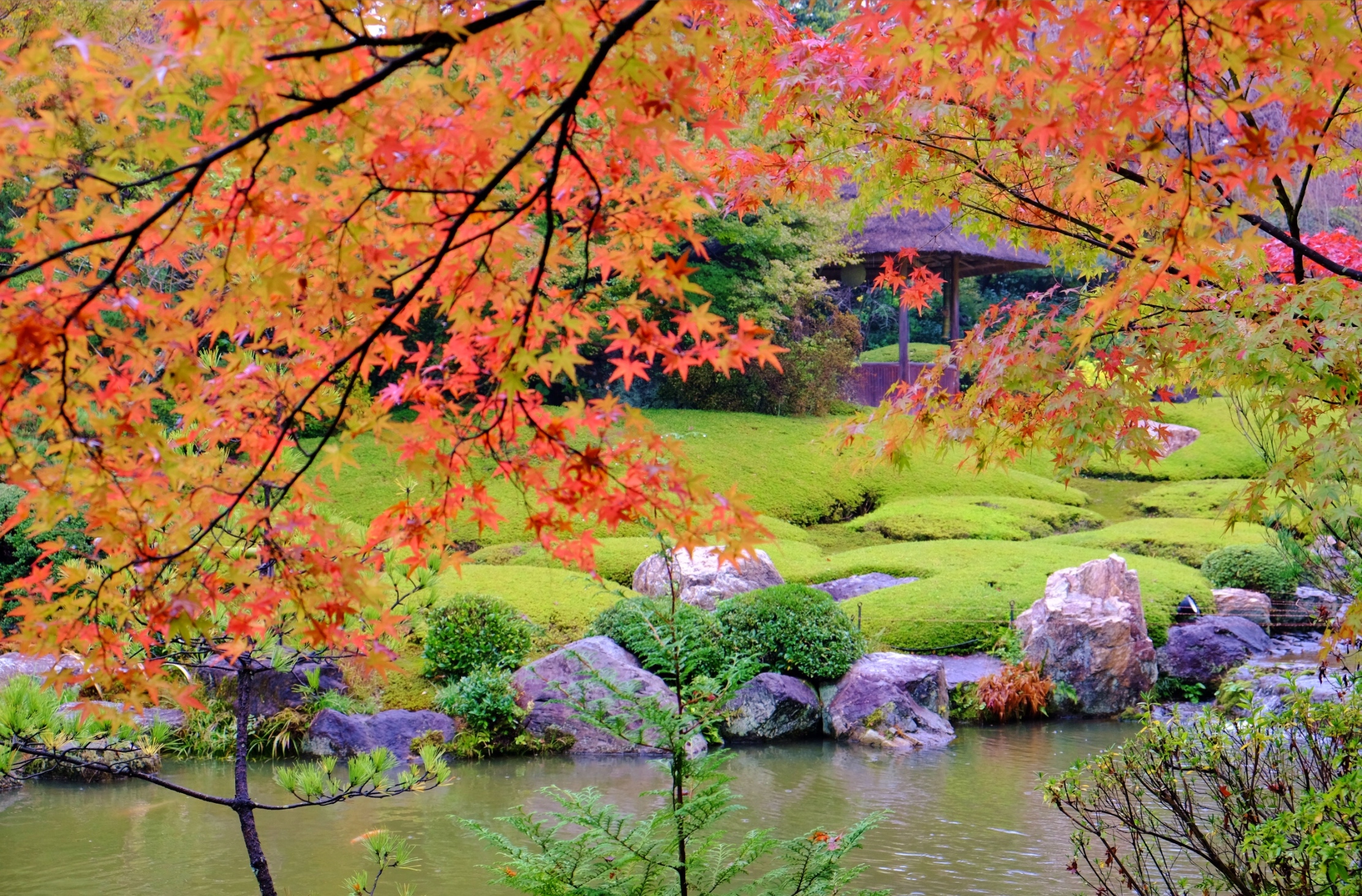 Walk in autumn colored garden