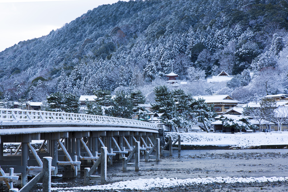 壮观的雪景