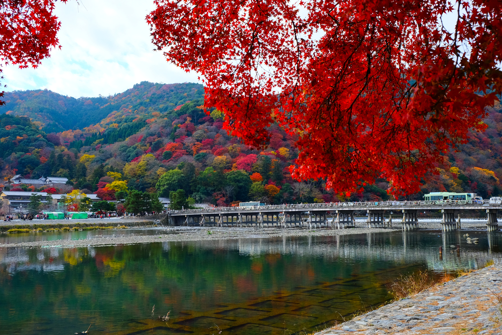 Begin your Kyoto trip from here- Togetsukyo bridge where you can enjoy the view throughout the year