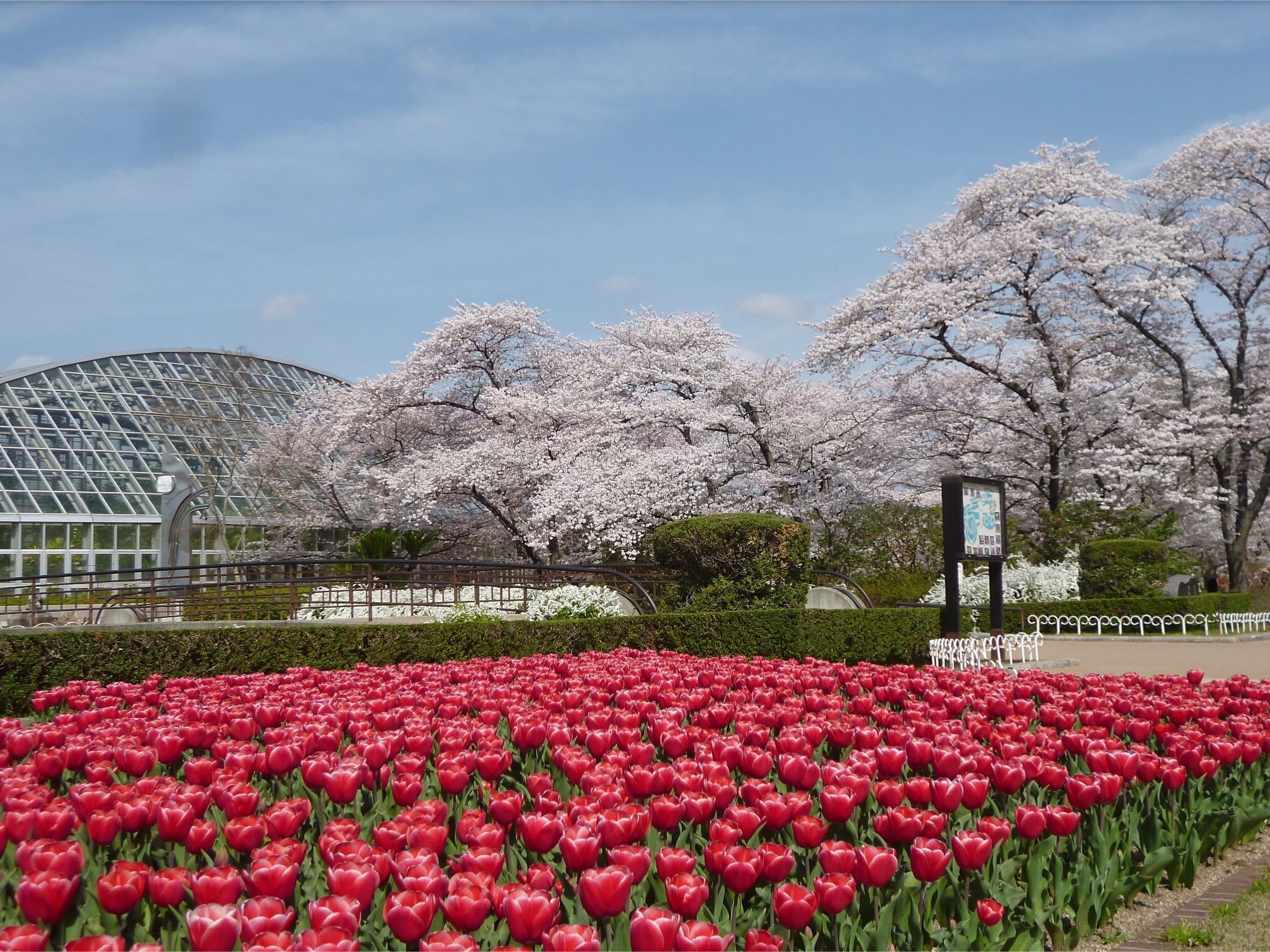 Ботанический сад в Киото (Kyoto Botanical Garden) «4 времени года»