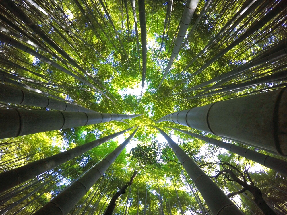 請遵守相關規定，保護園內景色。