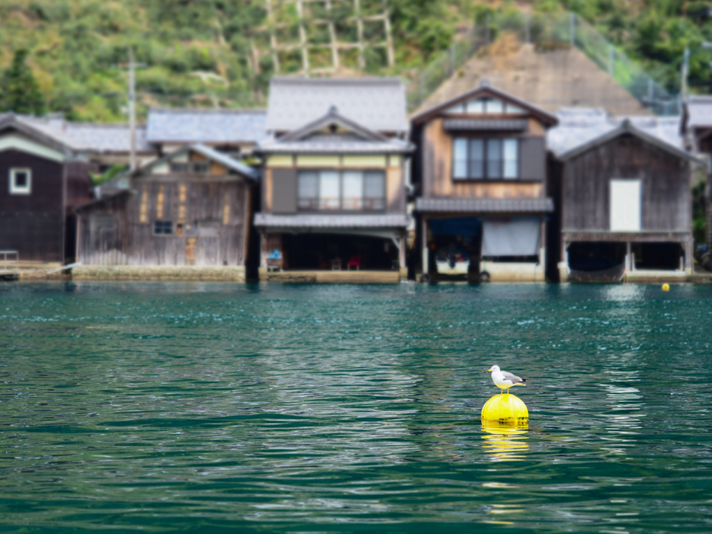 ここでしか見ることのできない特別な景色