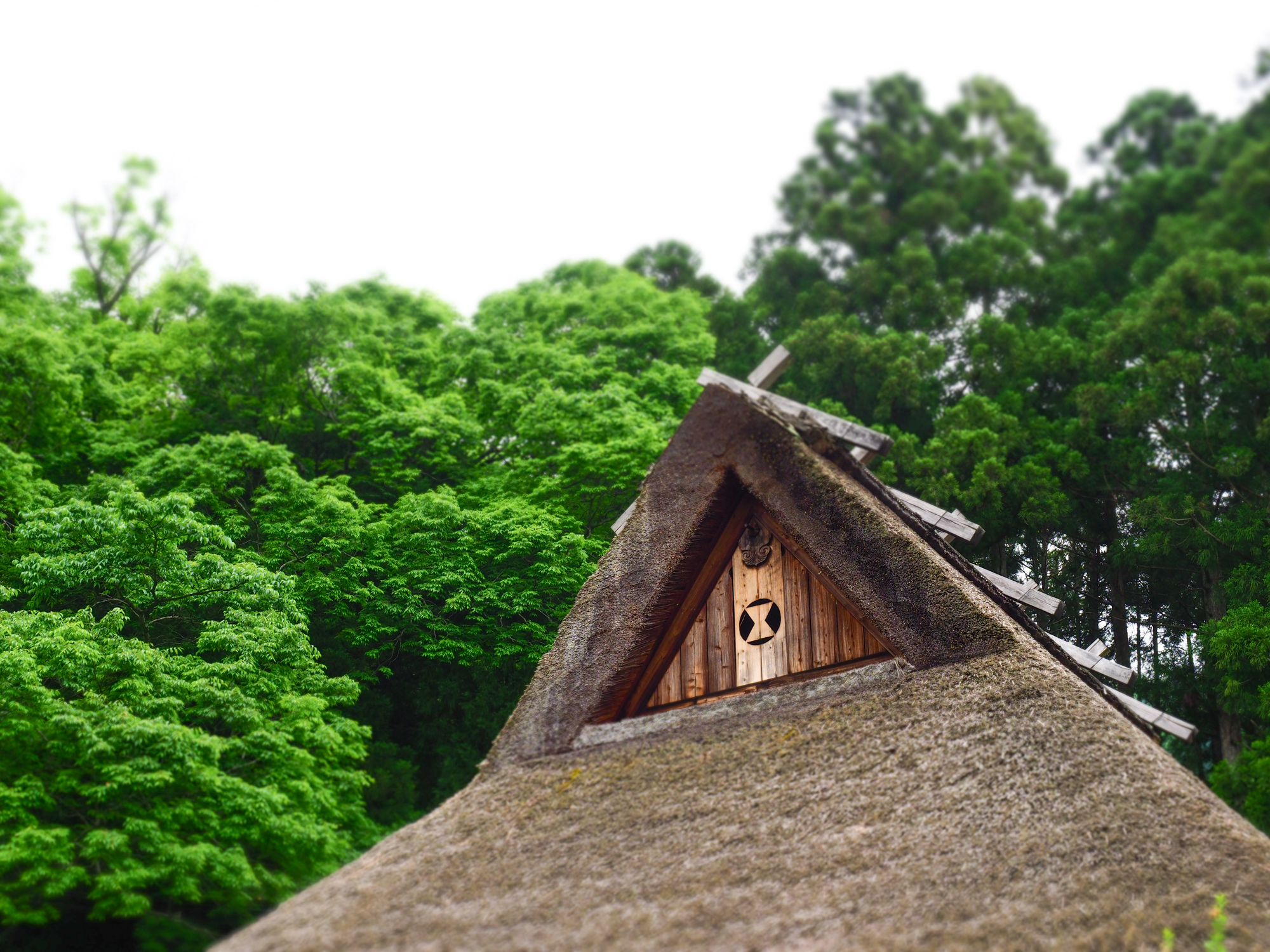 Nostalgic thatched roof residences