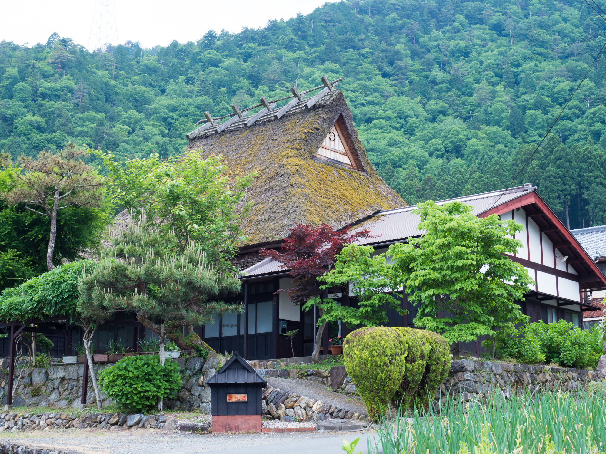 Walk along the original scenery of Japan