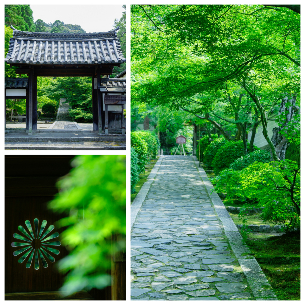 Hidden popular spot full of art and gourmet “Ikkyuji (Shuon-an)