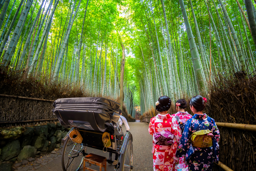 Enjoy all that Arashiyama has to offer! Basic points you need to know when visiting Arashiyama