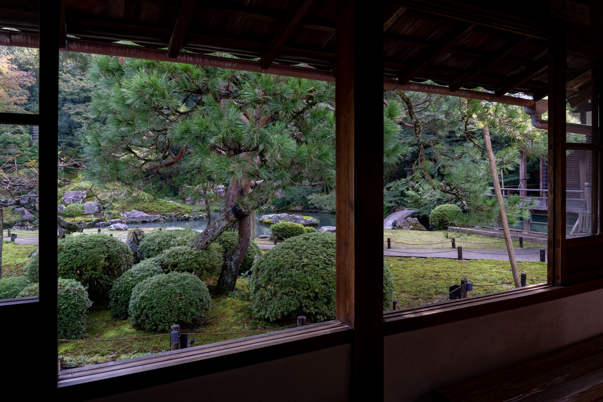 Elegant garden