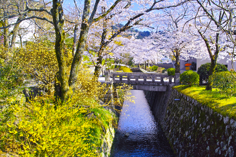 日本の文人や哲学者が散歩していた道