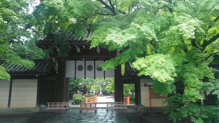 今宮神社の桜