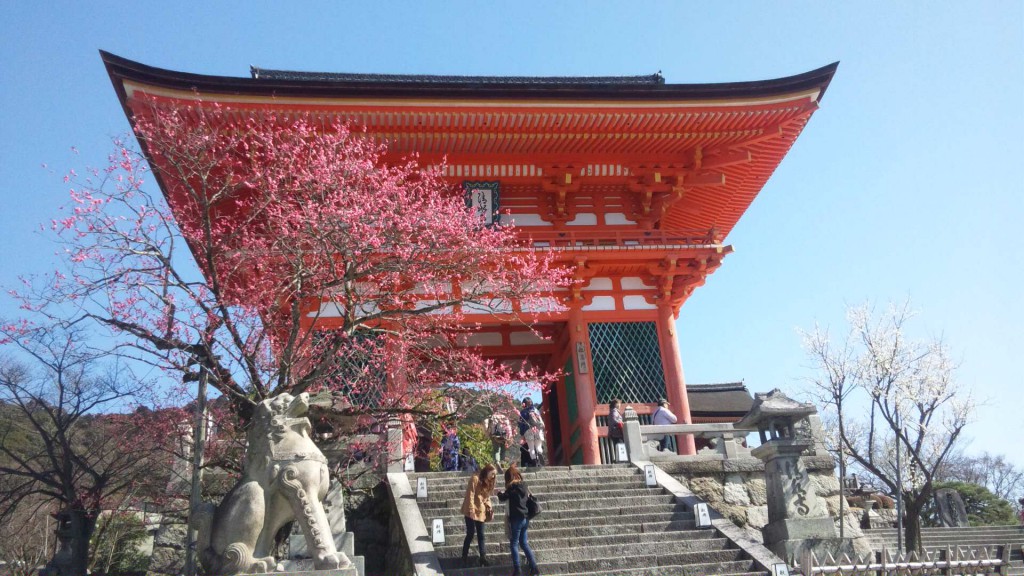 Kiyomizu-dera Templeの桜
