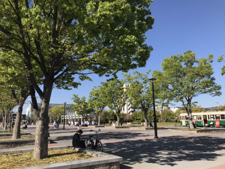 梅小路公園の桜