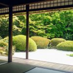 詩仙堂丈山寺の桜