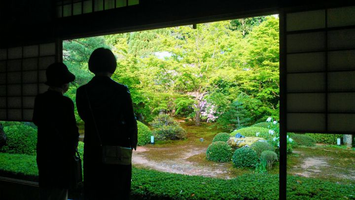 云龙院の桜