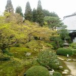 雲龍院の桜