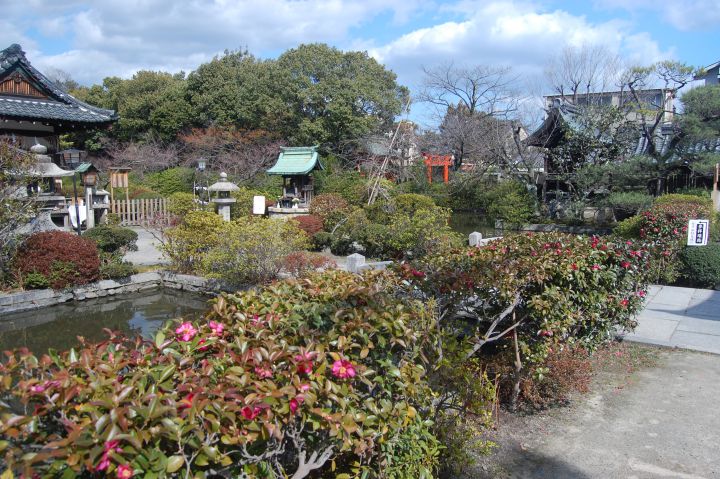 Shinsen-en Gardenの桜