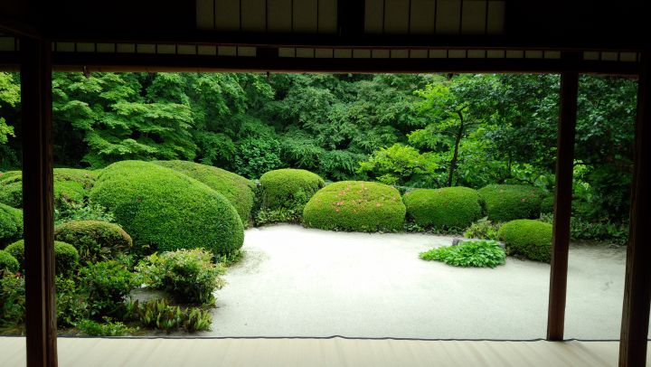 詩仙堂丈山寺の桜