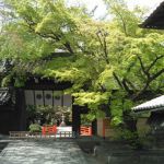 Imamiya Shrineの桜