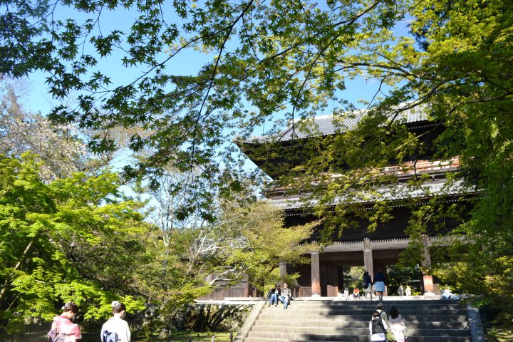 南禅寺の桜