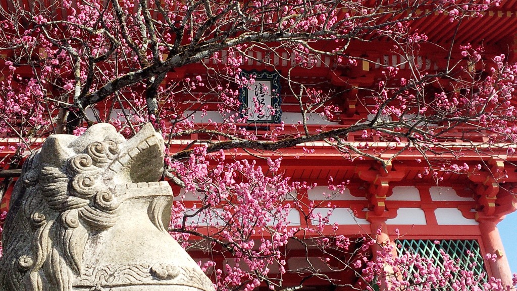 Kiyomizu-dera Templeの桜