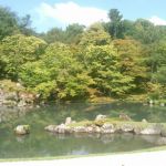 天龍寺の桜