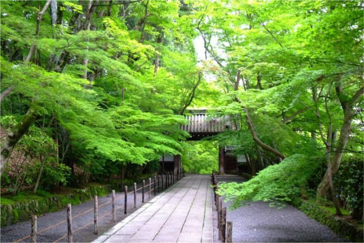 Komyo-ji Temple