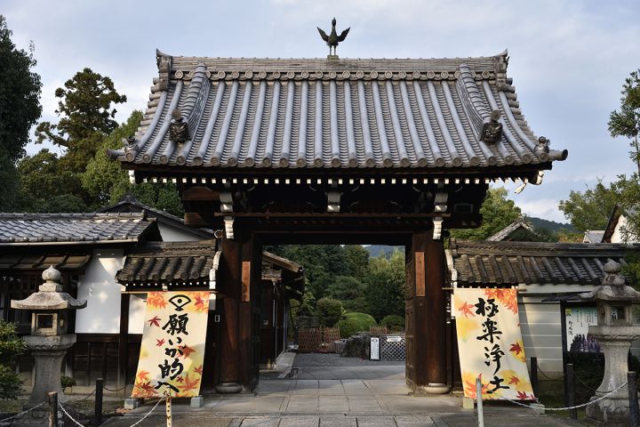 即成院