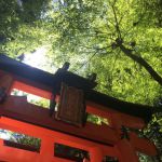 Fushimi Inari Taisha Shrineの桜